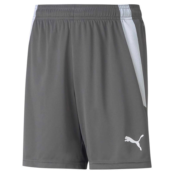 TEAMLIGA_SHORTS_JR_704931_13290_Image_1
