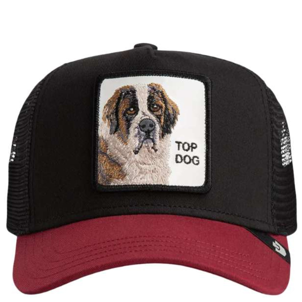 THE_TOP_DOG_1011788_VOI_Image_1