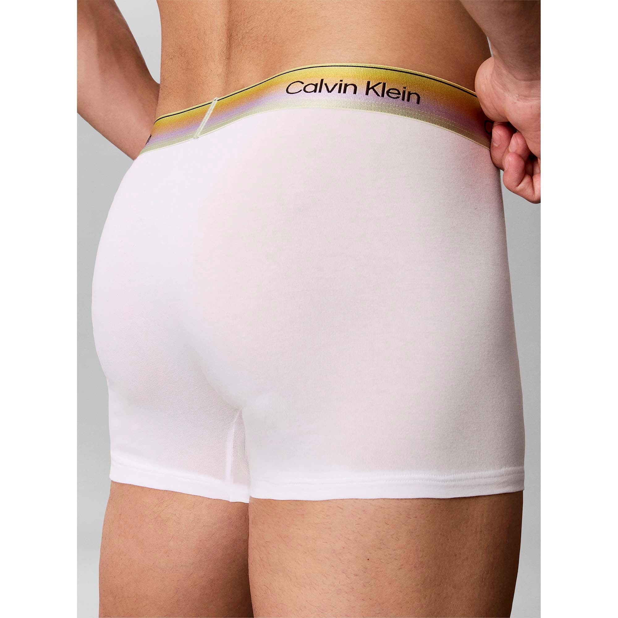 TRUNK_LV00NB4590_100_Image_4